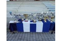 Το ΒΕΠ αθλοθέτησε έπαθλο στη μνήμη του Προέδρου  Ανδριανού Μιχάλαρου στους Κωπηλατικούς αγώνες του Ομίλου Ερετών Πειραιώς «Παύλος Δαμαλάς»