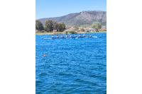 Το ΒΕΠ αθλοθέτησε έπαθλο στη μνήμη του Προέδρου  Ανδριανού Μιχάλαρου στους Κωπηλατικούς αγώνες του Ομίλου Ερετών Πειραιώς «Παύλος Δαμαλάς»