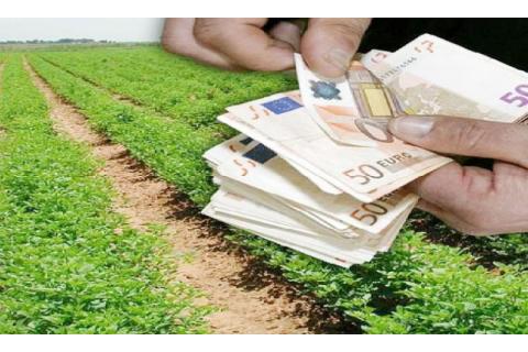  Ενισχύσεις για παραγωγούς μανταρινιών και πατάτας και οστρακοκαλλιεργειών από το ΥΠΑΑΤ