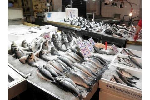 Εγκύκλιοι που αφορούν την πρώτη πώληση των αλιευτικών προϊόντων και τις προθεσμίες υποβολής των δελτίων πώλησης