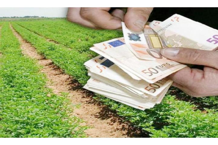 Ενισχύσεις για παραγωγούς μανταρινιών και πατάτας και οστρακοκαλλιεργειών από το ΥΠΑΑΤ