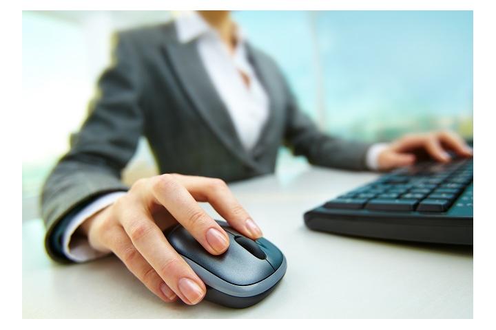Τύπος και περιεχόμενο της βεβαίωσης αποδοχών ή συντάξεων, της βεβαίωσης των αμοιβών από επιχειρηματική δραστηριότητα και της βεβαίωσης εισοδημάτων από μερίσματα, τόκους, δικαιώματα