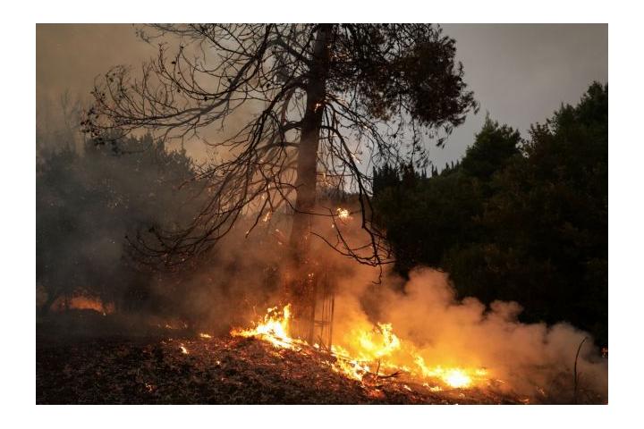 Ανακοίνωση Β.Ε.Π. για την πυρκαγιά στα Βίλια