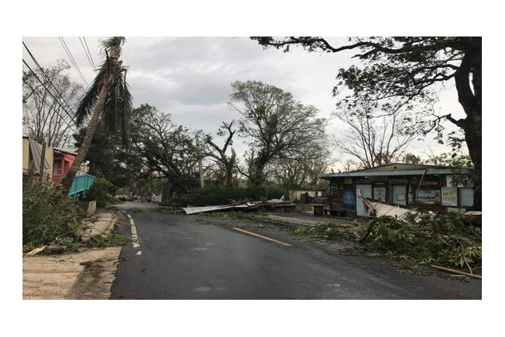 Οριοθέτηση πληγεισών από φυσική καταστροφή περιοχών των Περιφερειακών Ενοτήτων α) Δυτικής Αττικής της Περιφέρειας Αττικής β) Ανατολικής Αττικής της Περιφέρειας Αττικής