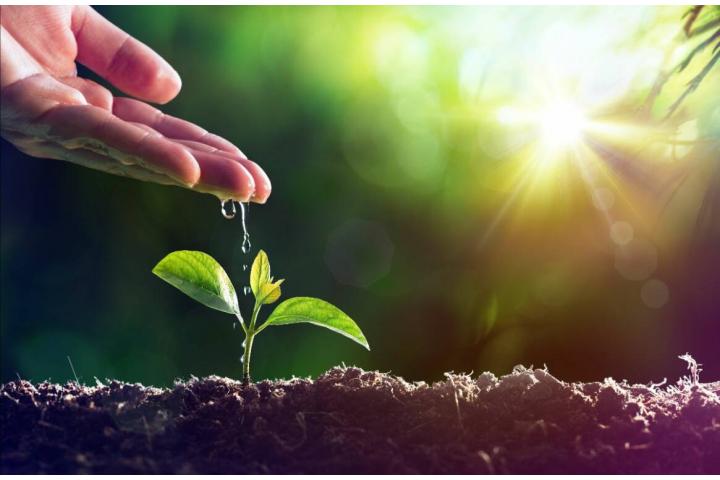 Πρόσκληση εκδήλωσης ενδιαφέροντος για την υποβολή αιτήσεων ενίσχυσης στο υποέργο καινοτομία και πράσινη μετάβαση στη μεταποίηση αγροτικών προϊόντων