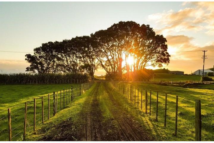 ΤΑΜΕΙΟ ΑΝΑΚΑΜΨΗΣ ΚΑΙ ΑΝΘΕΚΤΙΚΟΤΗΤΑΣ - «Πράσινος αγροτουρισμός»