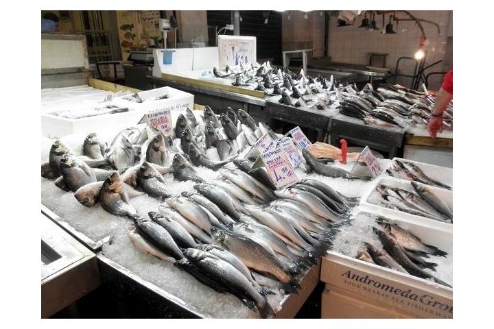 Εγκύκλιοι που αφορούν την πρώτη πώληση των αλιευτικών προϊόντων και τις προθεσμίες υποβολής των δελτίων πώλησης