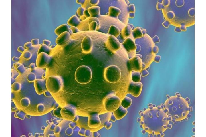  Με 10 άμεσες κινήσεις να θωρακιστούν οι επιχειρήσεις από την κρίση του κορωνοϊού