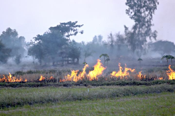 Επιχορήγηση αγροτικών εκμεταλλεύσεων για την αποζημίωση των πληγέντων από τις πυρκαγιές που εκδηλώθηκαν από 1 Μαΐου ως και τέλος Αυγούστου 2021 (Περιφέρεια Αττικής: Δυτική και  Ανατολική Αττική, Βόρειος Τομέας Αθηνών)