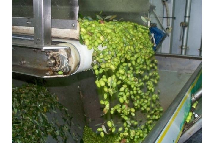 ΤΑΜΕΙΟ ΑΝΑΚΑΜΨΗΣ ΚΑΙ ΑΝΘΕΚΤΙΚΟΤΗΤΑΣ - «Καινοτομία και Πράσινη Μετάβαση στη Μεταποίηση Αγροτικών Προϊόντων» - 1η Τροποποίηση