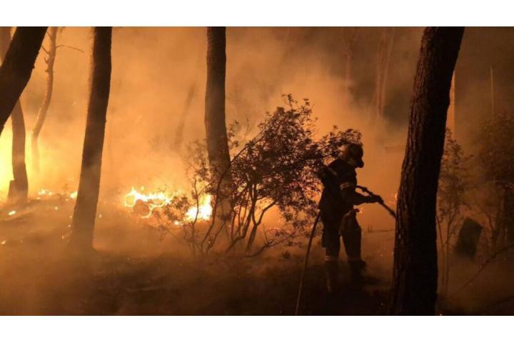 Καθορισμός επιχορήγησης των πληγέντων από την πυρκαγιά της 23ης και 24ης Ιουλίου 2018 σε περιοχές του Δήμου Μεγαρέων της Περιφερειακής Ενότητας Δυτικής Αττικής της Περιφέρειας Αττικής